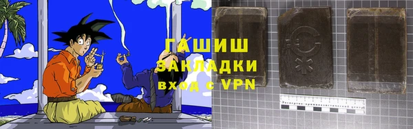 ГАЛЛЮЦИНОГЕННЫЕ ГРИБЫ Козловка