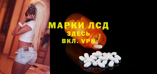 твердый Козельск