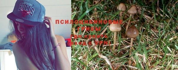 крисы Гусиноозёрск