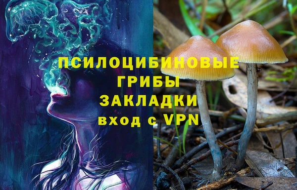 крисы Гусиноозёрск