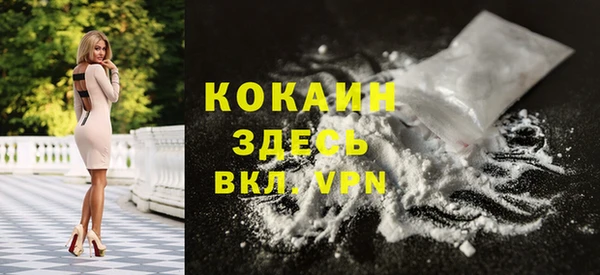 первитин Гусев
