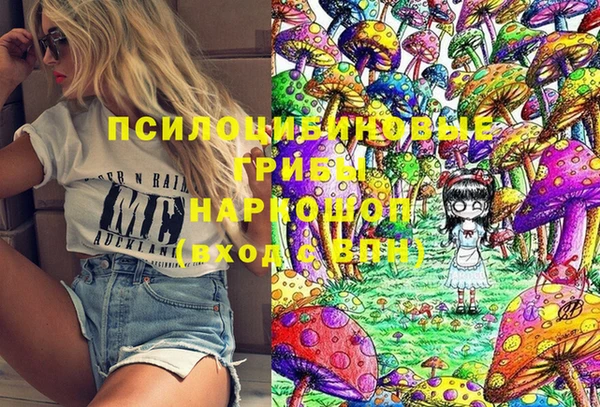 первитин Гусев
