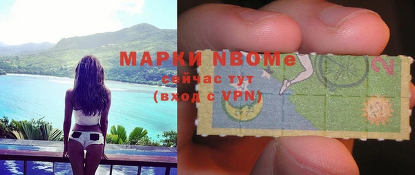 твердый Козельск