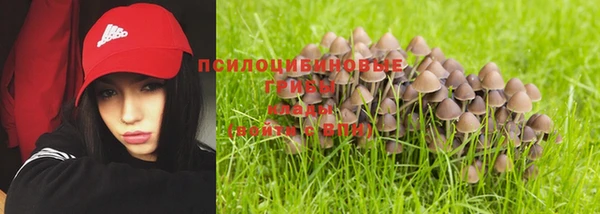крисы Гусиноозёрск